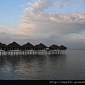 2012-12-6~10馬來西亞黃金棕櫚之旅