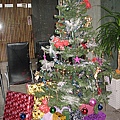 2009-12-11逢春園 171.jpg