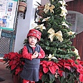 2009-12-11逢春園 109.jpg