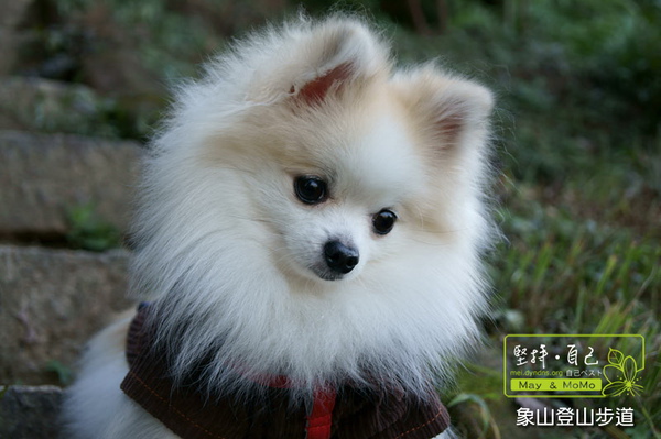 20101218_011.jpg
