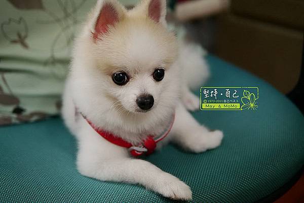 20120715_01.JPG