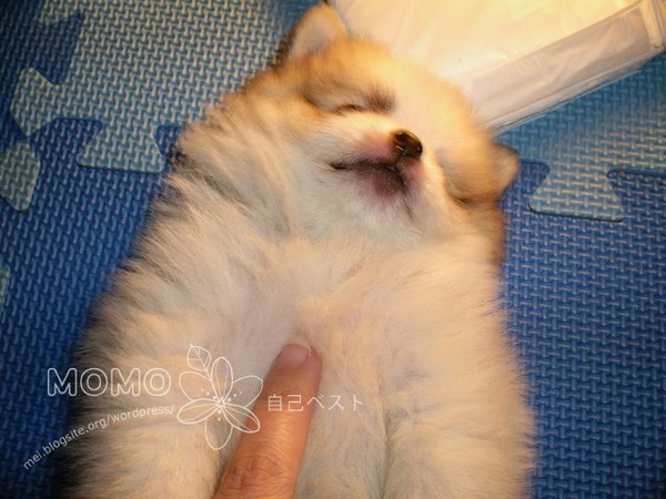 momo0030.jpg