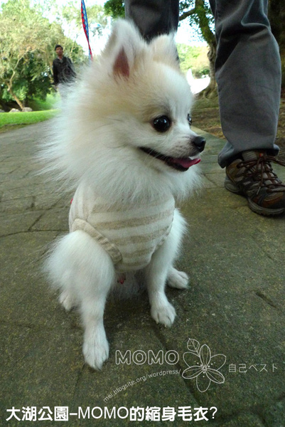 20100101_01.jpg