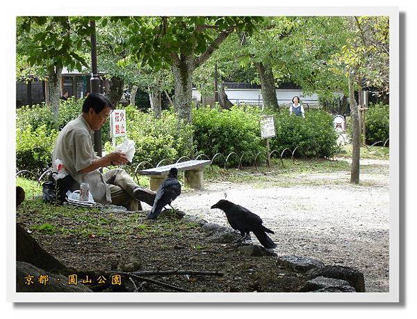 京都圓山公園.JPG