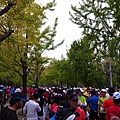 大阪馬拉松二三事 (6).JPG