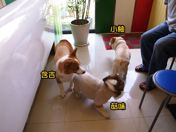 R0040544 R0040544