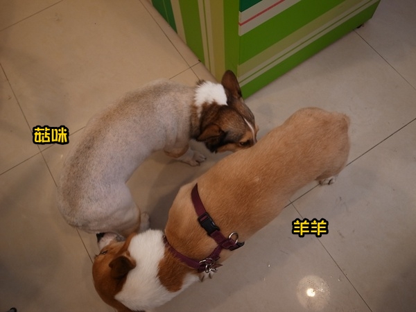 R0040548 R0040548