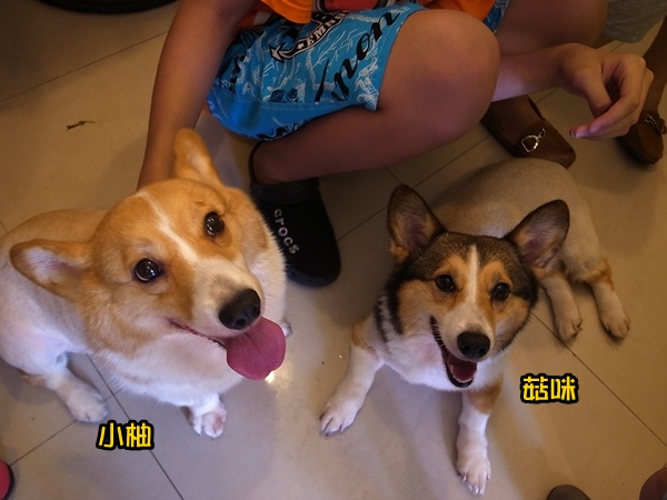 R0040601 R0040601