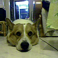 Video call snapshot 202.png