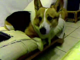 Video call snapshot 50.png