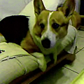 Video call snapshot 50.png