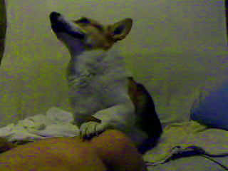 Video call snapshot 191.png