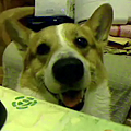 Video call snapshot 192.png