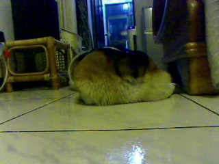 Video call snapshot 194.png