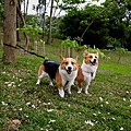 990413 (64).jpg