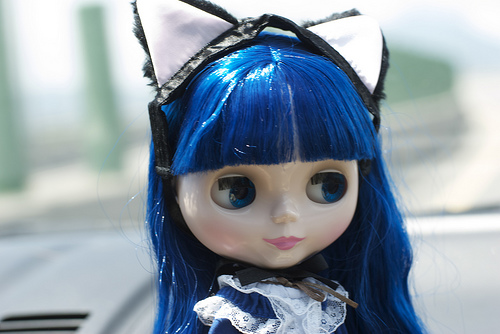 2810550029_eaf2c726b0.jpg