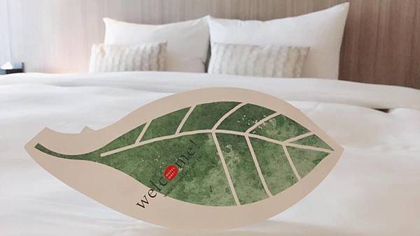 19423975_1603547012989892_5747614773803506626_n.jpg 19423975_1603547012989892_5747614773803506626_n.jpg