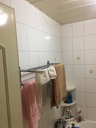 台北浴室翻修推薦 台北浴室翻修推薦