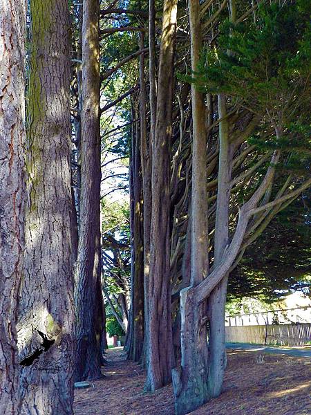 1/30Invercargill 1/30Invercargill
