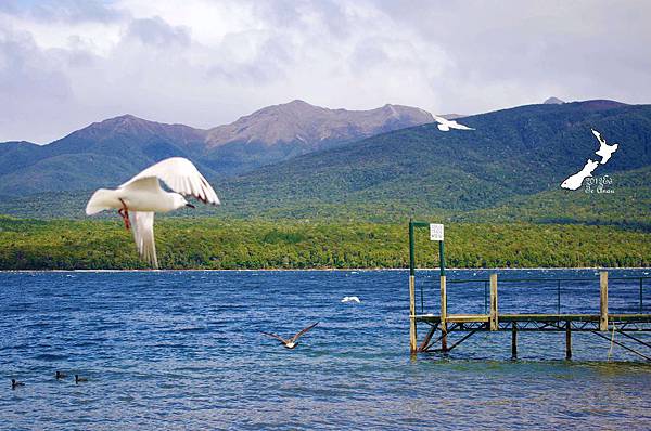 1/31Te Anau 1/31Te Anau