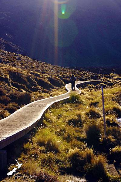 Tongariro