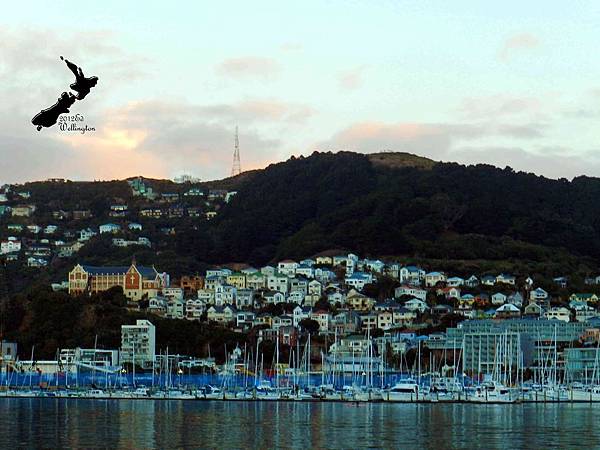 Wellington Wellington