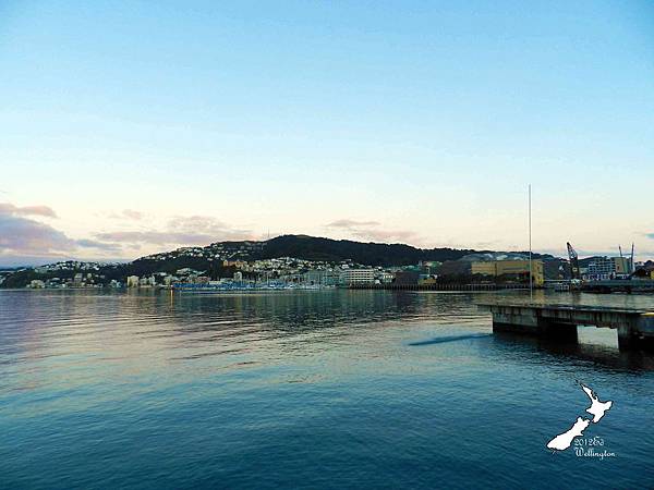 Wellington Wellington