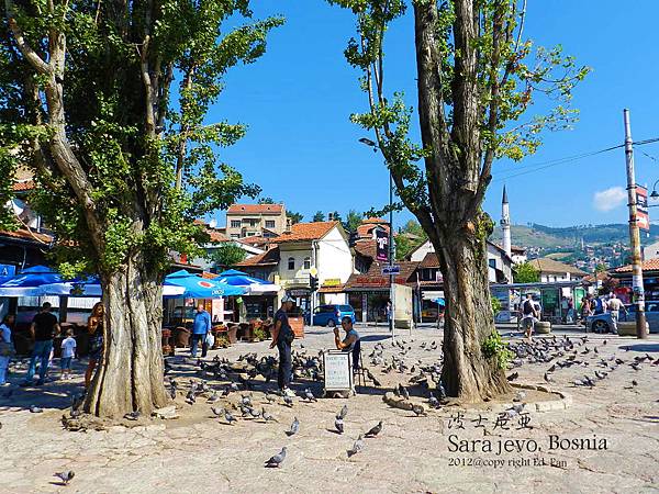 Sarajevo Sarajevo