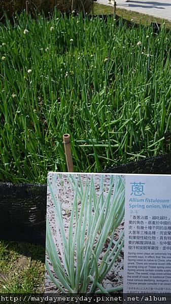 20110226-140135-055.JPG