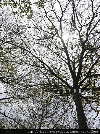 20110416-123934-039.JPG 20110416-123934-039.JPG