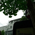 20101003-105348-141.JPG