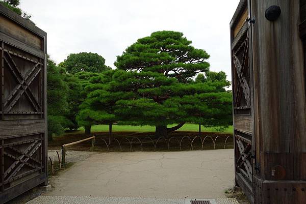 2013 日本-京阪神274.JPG