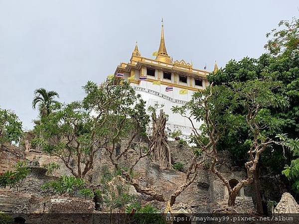 IMG_0949.jpg IMG_0949.jpg