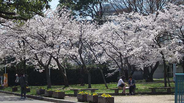 京都崗山米原名古屋 786.jpg