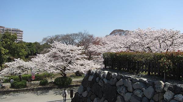 京都崗山米原名古屋 767.jpg