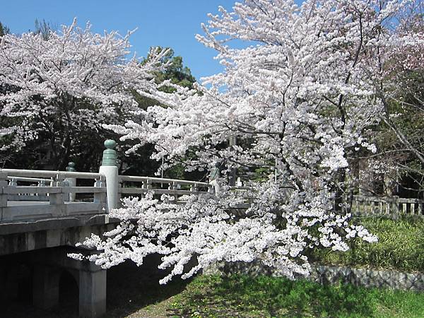 京都崗山米原名古屋 626.jpg