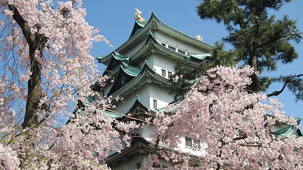 京都崗山米原名古屋 844.jpg