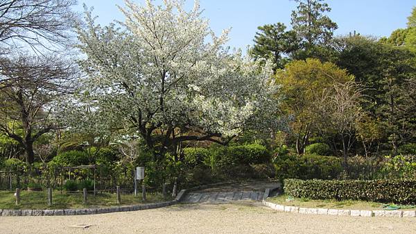 京都崗山米原名古屋 872.jpg