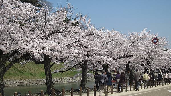 京都崗山米原名古屋 679.jpg