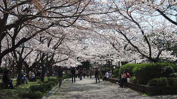 京都崗山米原名古屋 775.jpg