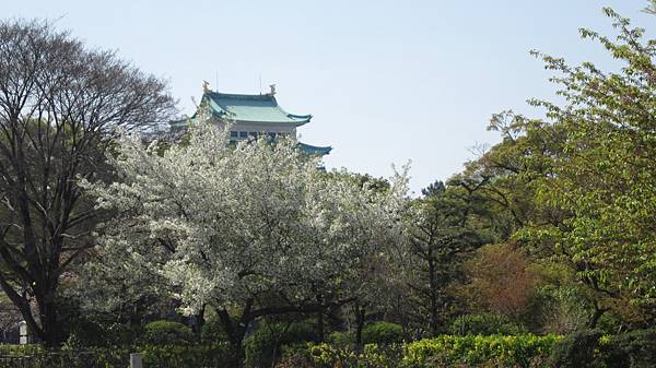 京都崗山米原名古屋 805.jpg