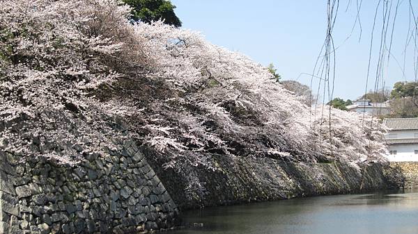 京都崗山米原名古屋 710.jpg