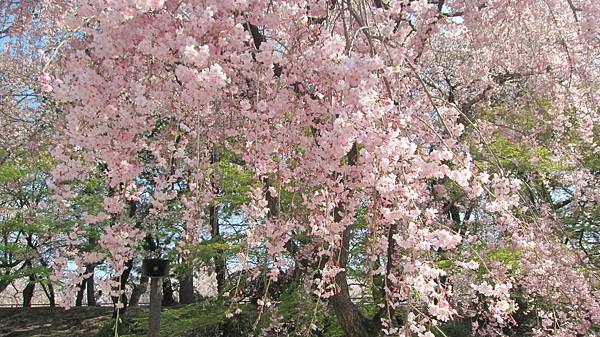 京都崗山米原名古屋 819.jpg