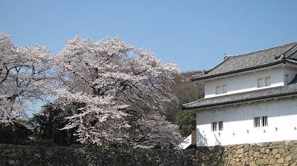 京都崗山米原名古屋 649.jpg