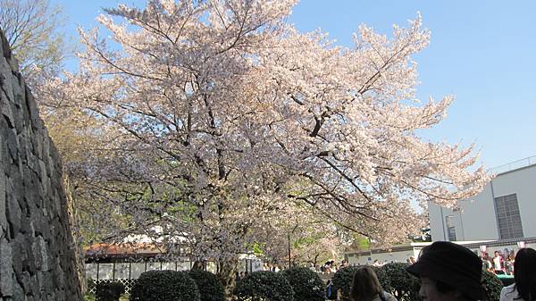 京都崗山米原名古屋 856.jpg