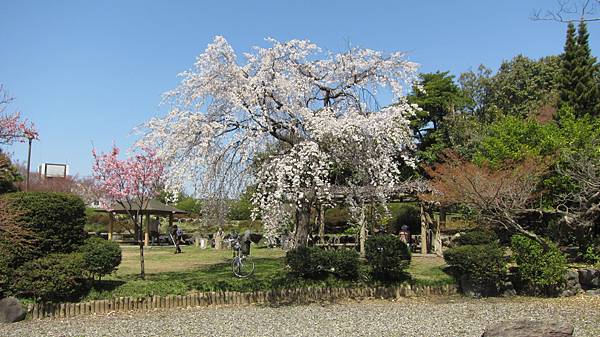 京都崗山米原名古屋 780.jpg