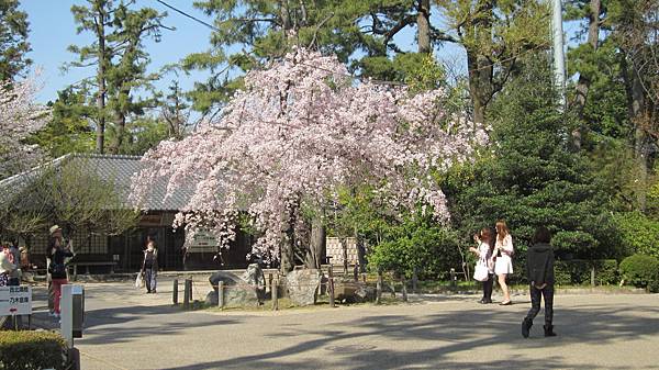 京都崗山米原名古屋 843.jpg