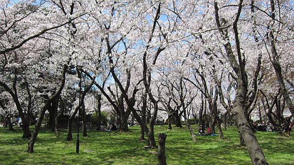 京都崗山米原名古屋 725.jpg