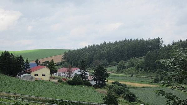 2010夏北海道行 504.jpg