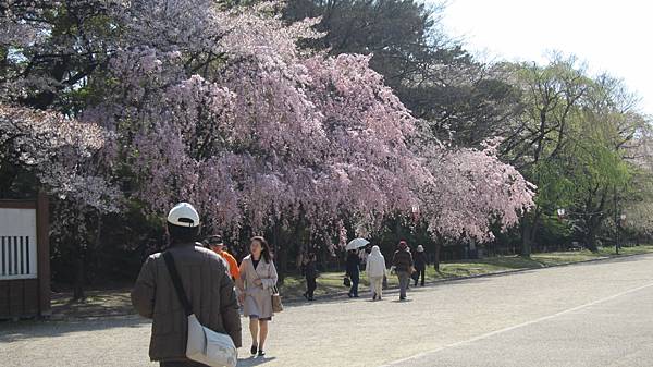 京都崗山米原名古屋 812.jpg